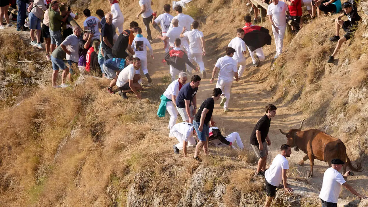 Cuarto encierro del Pil&oacute;n de Falces 2026. I&Ntilde;IGO ALZUGARAY