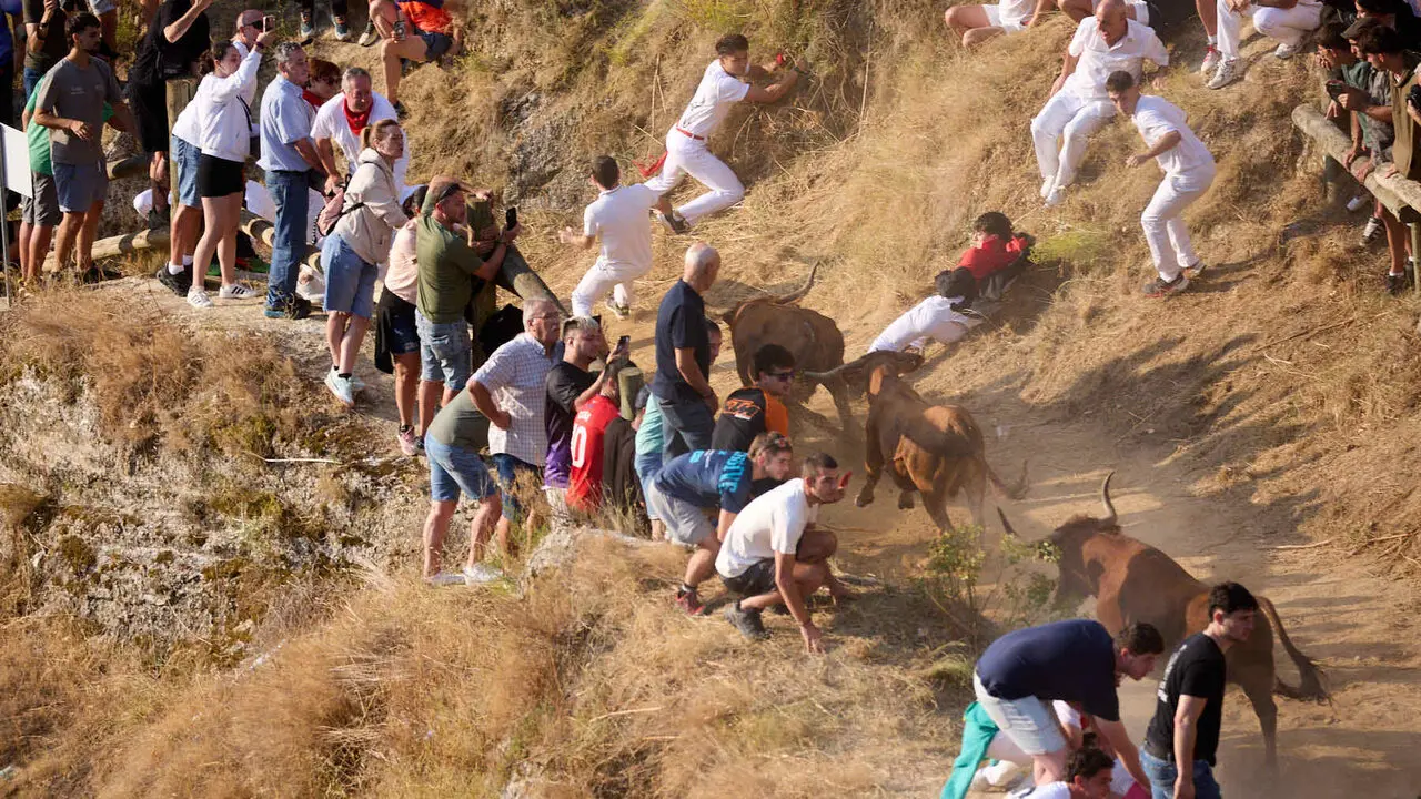 Cuarto encierro del Pil&oacute;n de Falces 2026. I&Ntilde;IGO ALZUGARAY