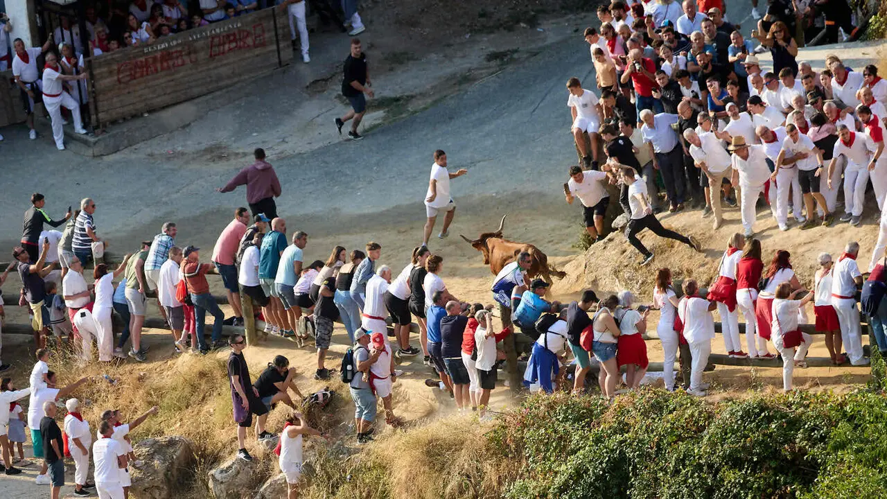 Cuarto encierro del Pil&oacute;n de Falces 2026. I&Ntilde;IGO ALZUGARAY