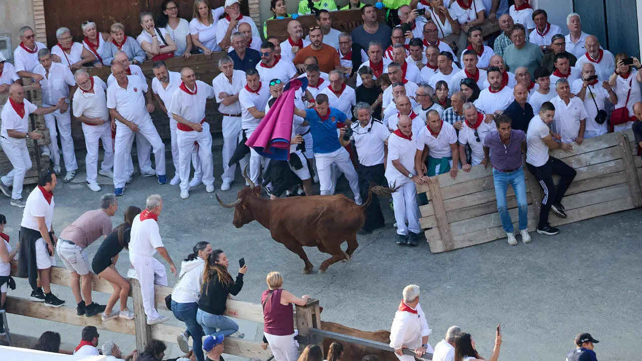 Cuarto encierro del Pil&oacute;n de Falces 2026. I&Ntilde;IGO ALZUGARAY