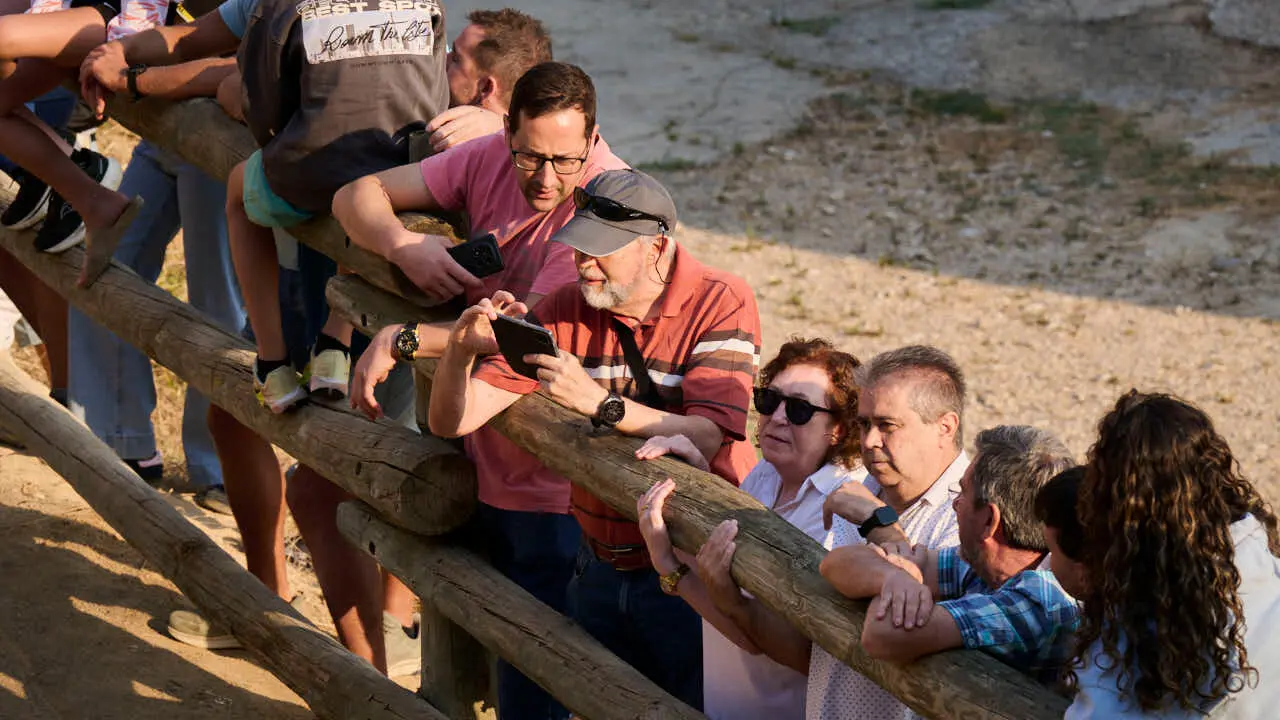 Cuarto encierro del Pil&oacute;n de Falces 2026. PABLO LASAOSA