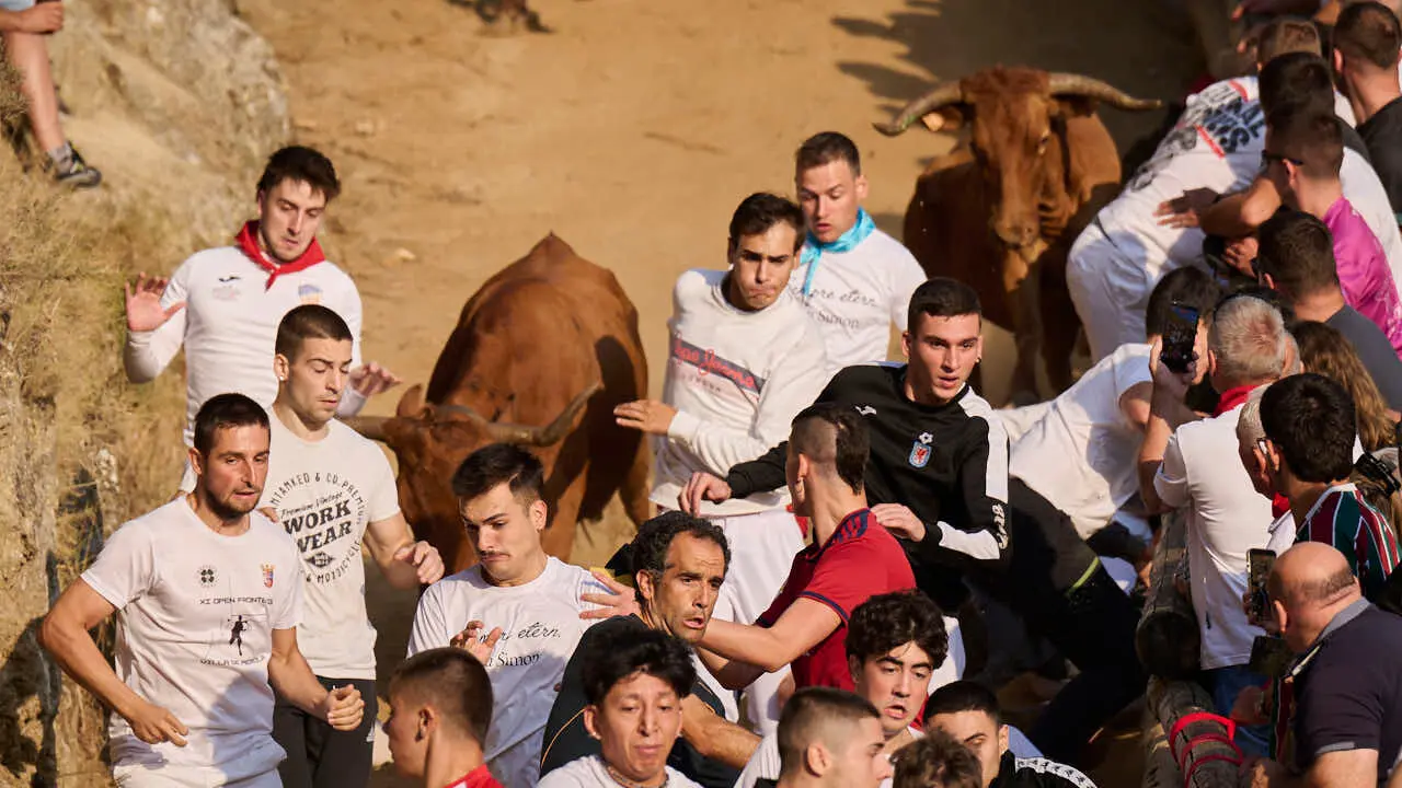 Cuarto encierro del Pil&oacute;n de Falces 2026. PABLO LASAOSA