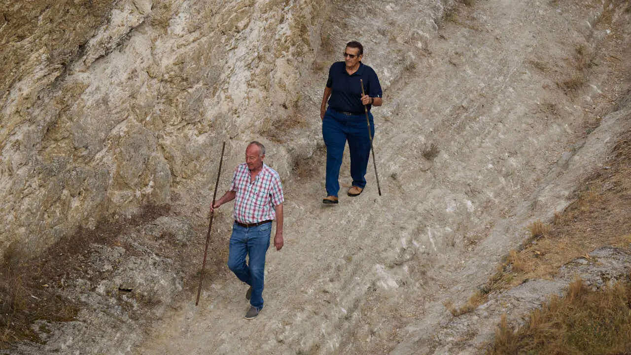 Quinto encierro del Pil&oacute;n de Falces 2026. PABLO LASAOSA