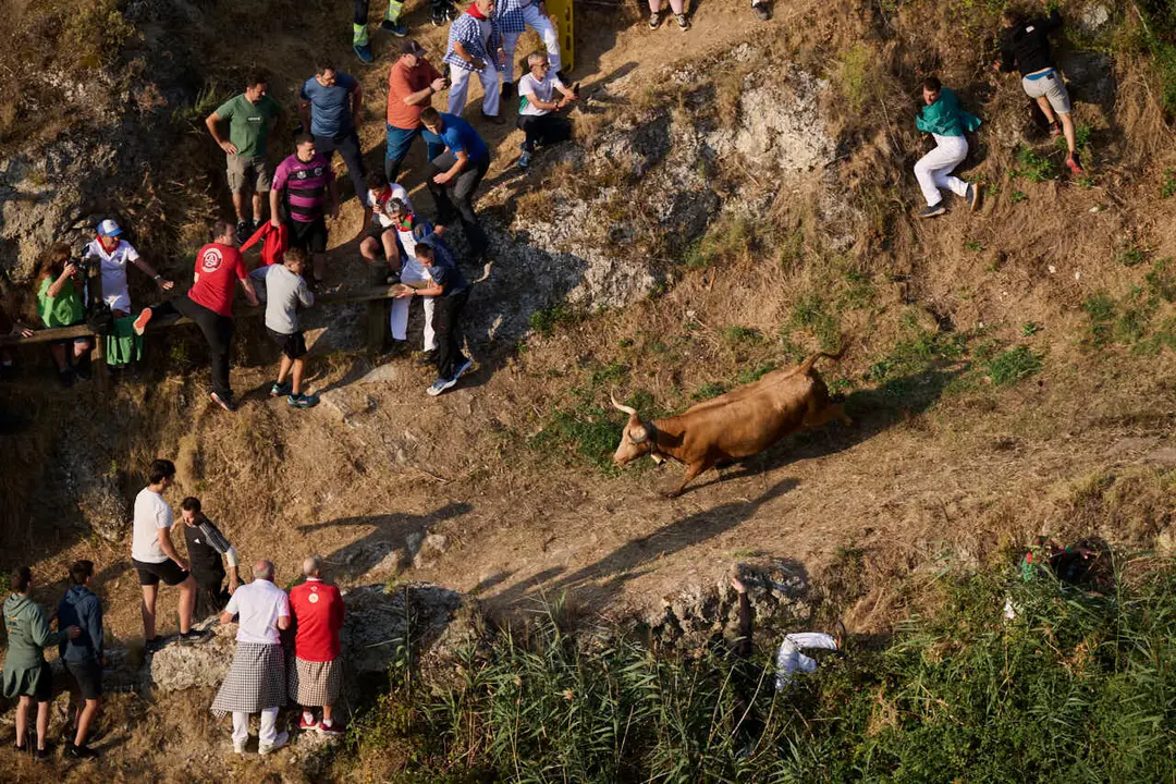 Quinto encierro del Pil&oacute;n de Falces 2026. PABLO LASAOSA