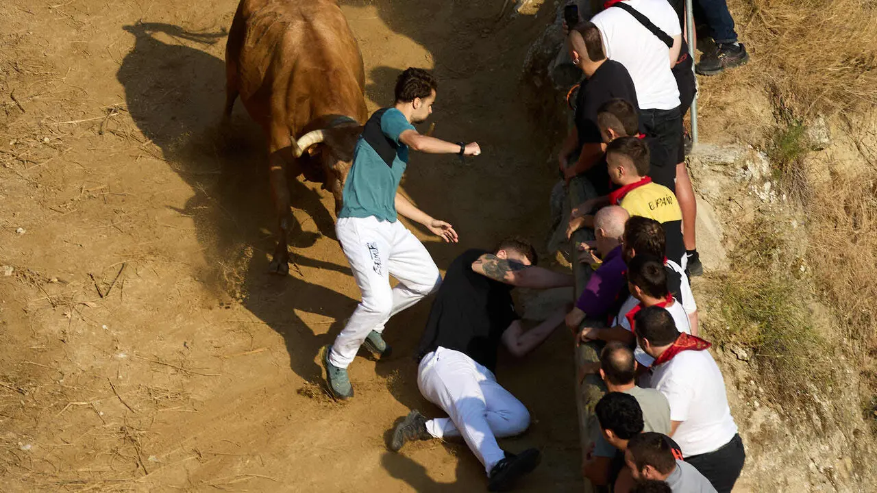 Quinto encierro del Pil&oacute;n de Falces 2026. I&Ntilde;IGO ALZUGARAY