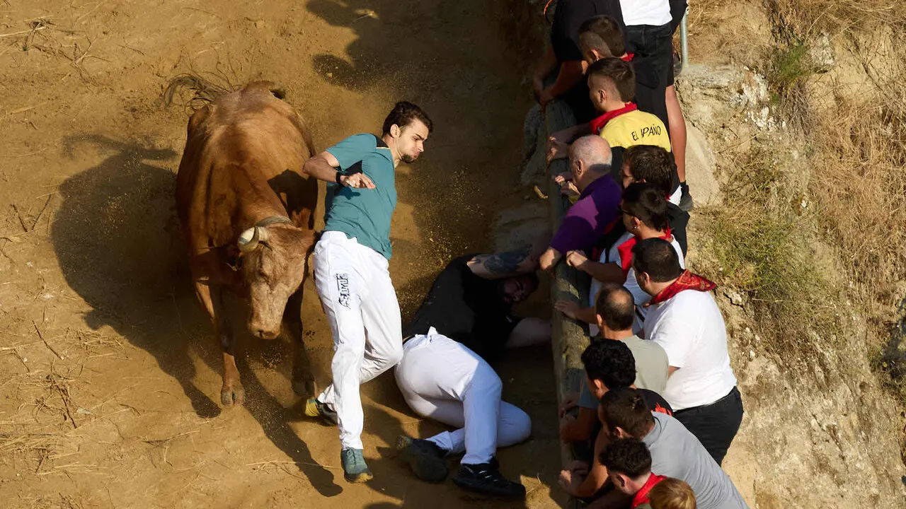 Quinto encierro del Pil&oacute;n de Falces 2026. I&Ntilde;IGO ALZUGARAY