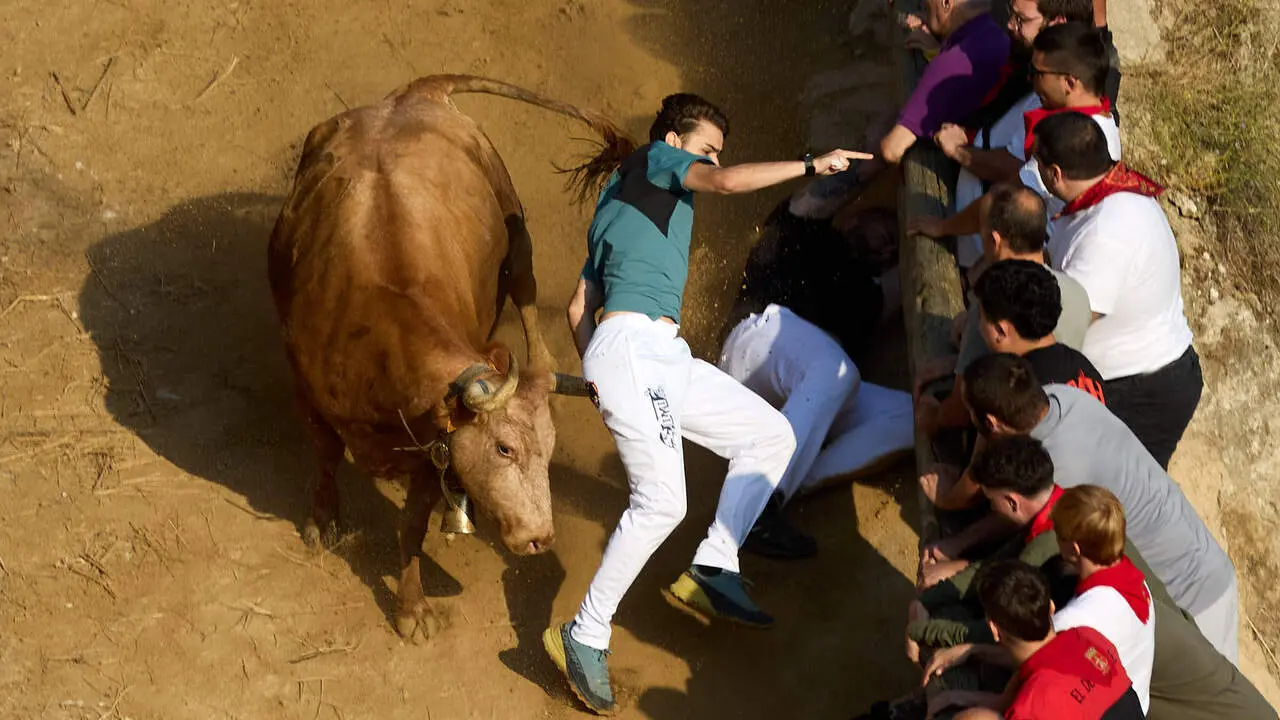 Quinto encierro del Pil&oacute;n de Falces 2026. I&Ntilde;IGO ALZUGARAY