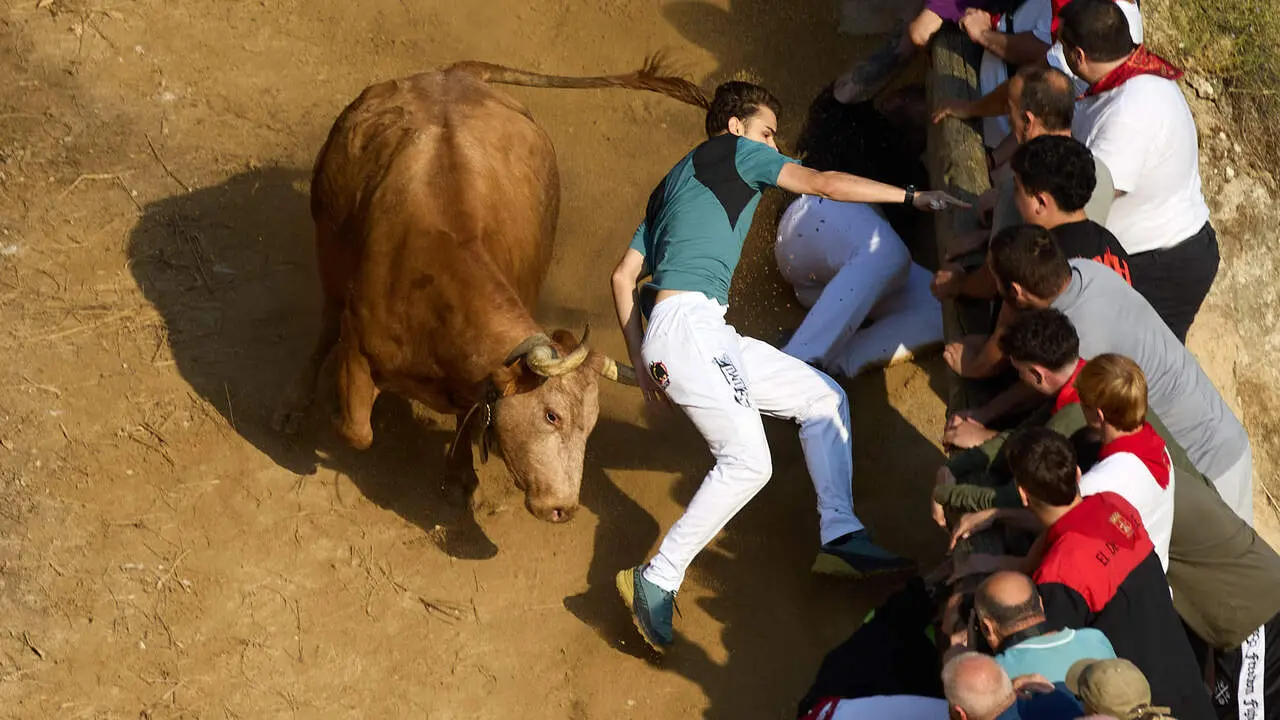 Quinto encierro del Pil&oacute;n de Falces 2026. I&Ntilde;IGO ALZUGARAY