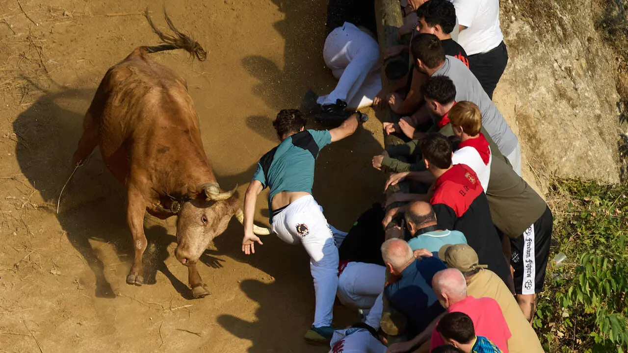 Quinto encierro del Pil&oacute;n de Falces 2026. I&Ntilde;IGO ALZUGARAY