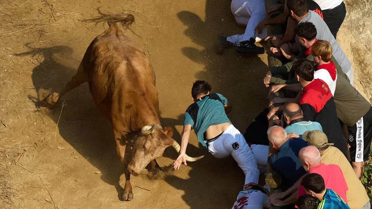 Quinto encierro del Pil&oacute;n de Falces 2026. I&Ntilde;IGO ALZUGARAY