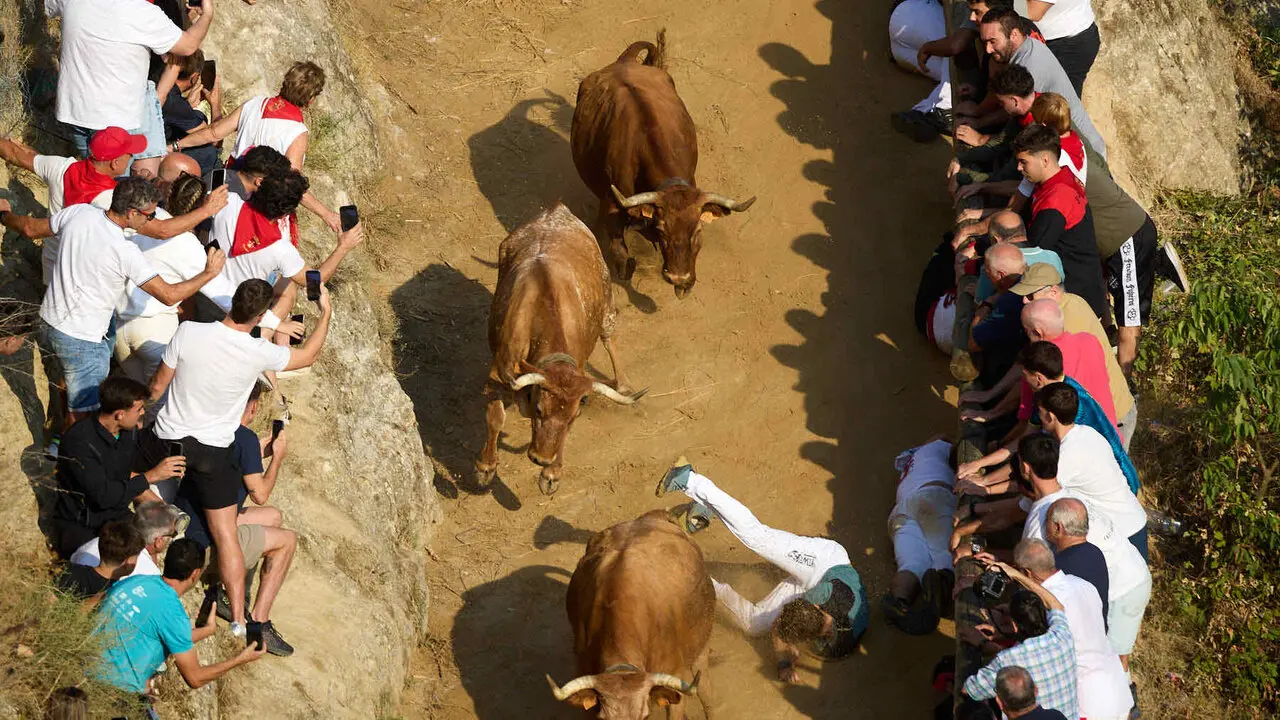 Quinto encierro del Pil&oacute;n de Falces 2026. I&Ntilde;IGO ALZUGARAY