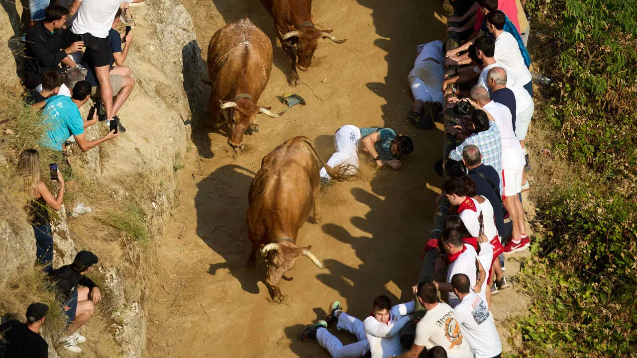 Quinto encierro del Pil&oacute;n de Falces 2026. I&Ntilde;IGO ALZUGARAY