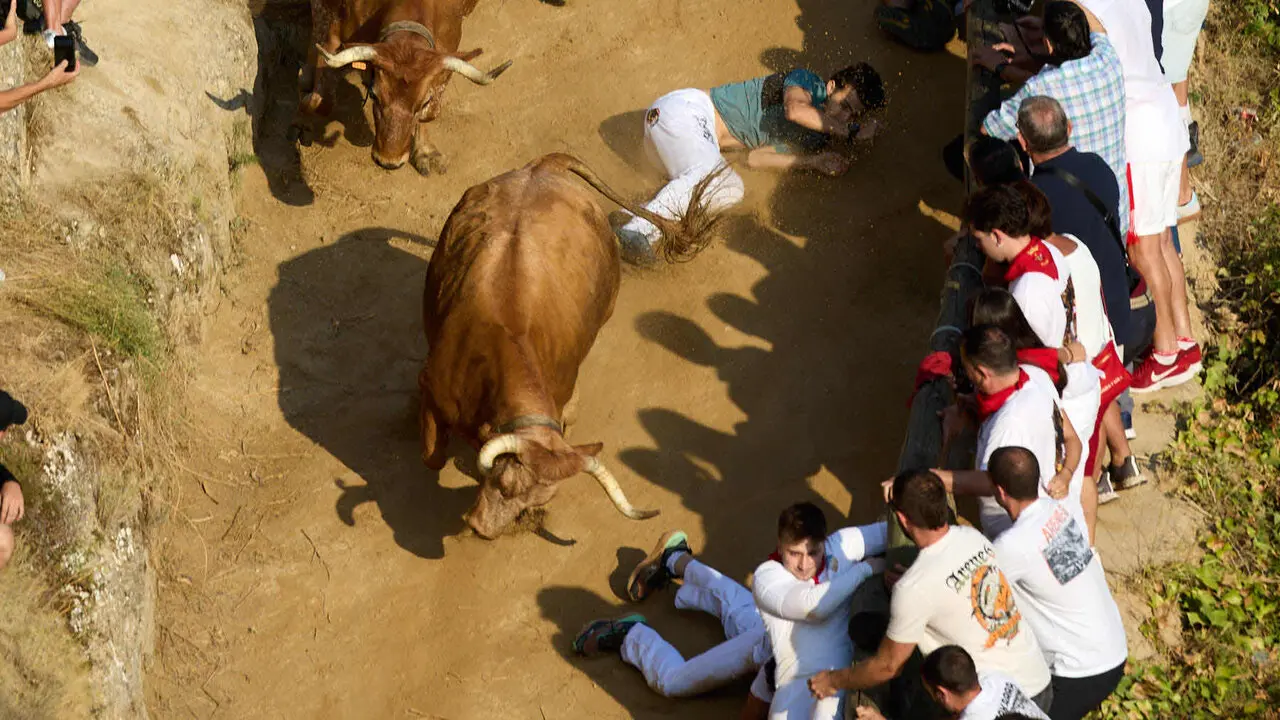 Quinto encierro del Pil&oacute;n de Falces 2026. I&Ntilde;IGO ALZUGARAY