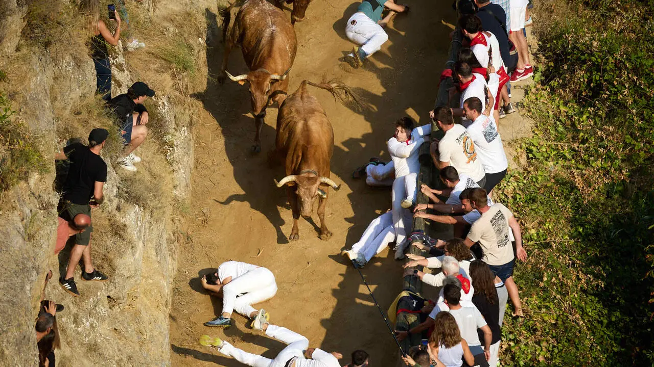 Quinto encierro del Pil&oacute;n de Falces 2026. I&Ntilde;IGO ALZUGARAY