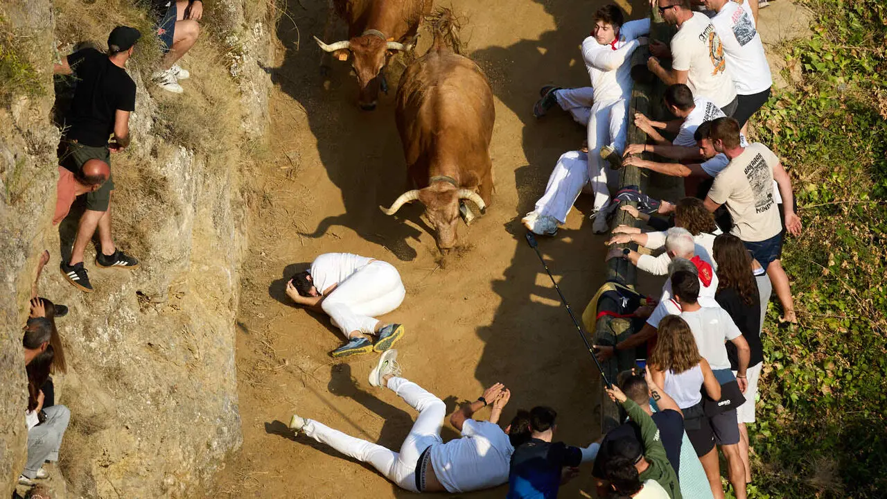 Quinto encierro del Pil&oacute;n de Falces 2026. I&Ntilde;IGO ALZUGARAY
