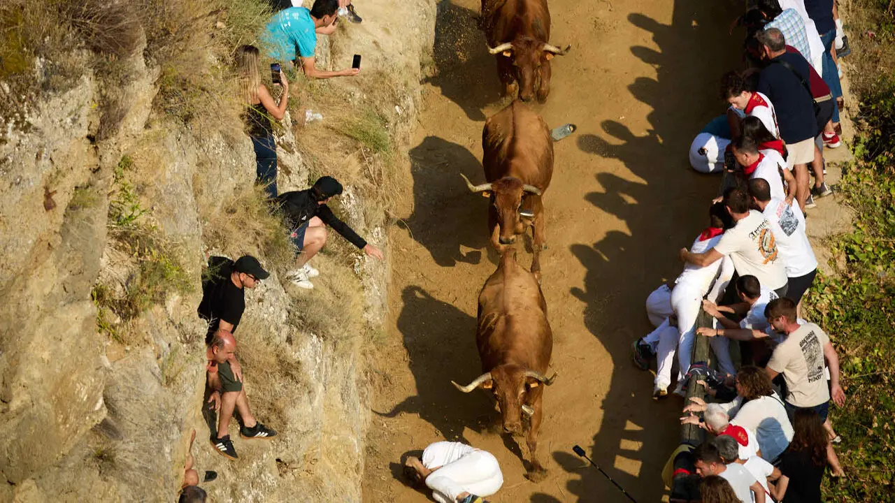 Quinto encierro del Pil&oacute;n de Falces 2026. I&Ntilde;IGO ALZUGARAY
