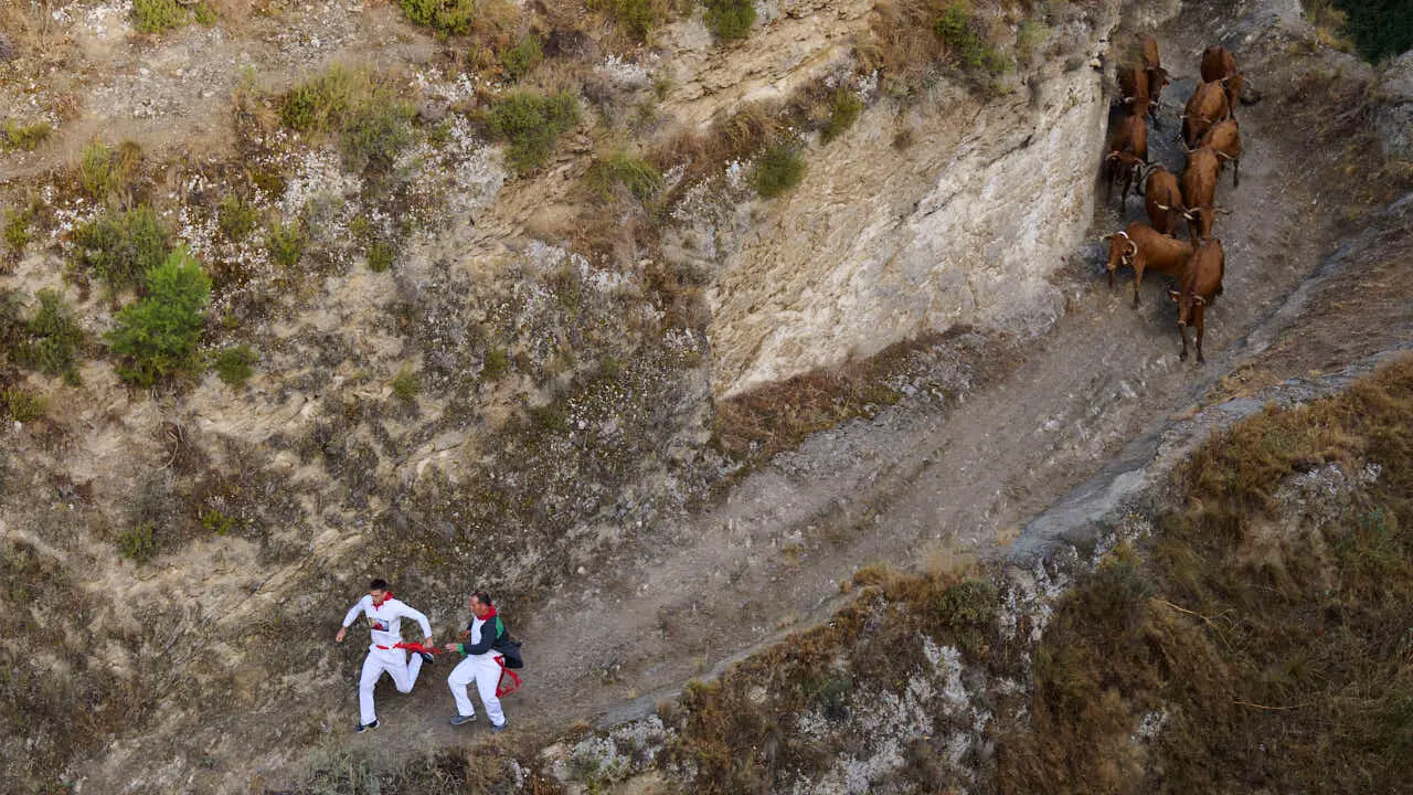Sexto encierro del Pil&oacute;n de Falces 2026. PABLO LASAOSA