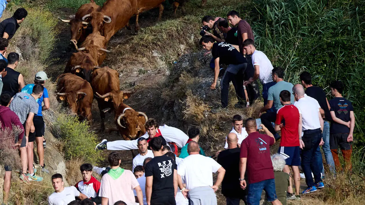 Sexto encierro del Pil&oacute;n de Falces 2026. I&Ntilde;IGO ALZUGARAY