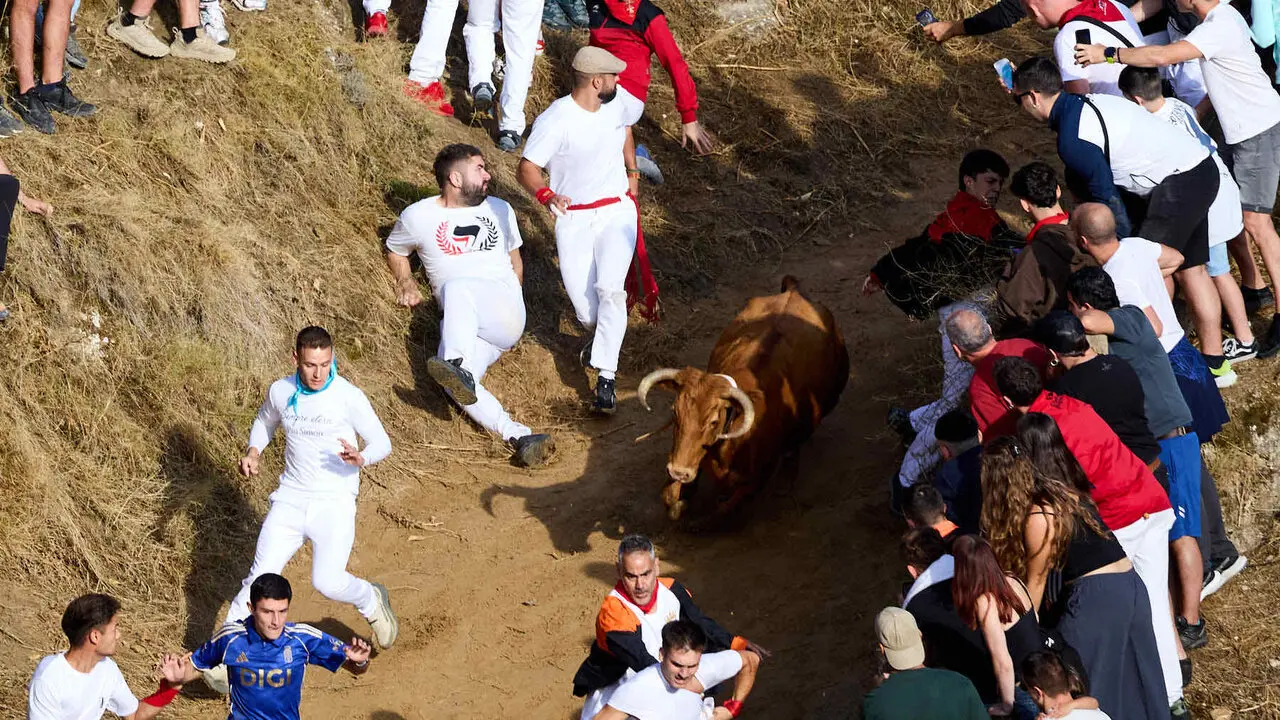 Sexto encierro del Pil&oacute;n de Falces 2026. I&Ntilde;IGO ALZUGARAY