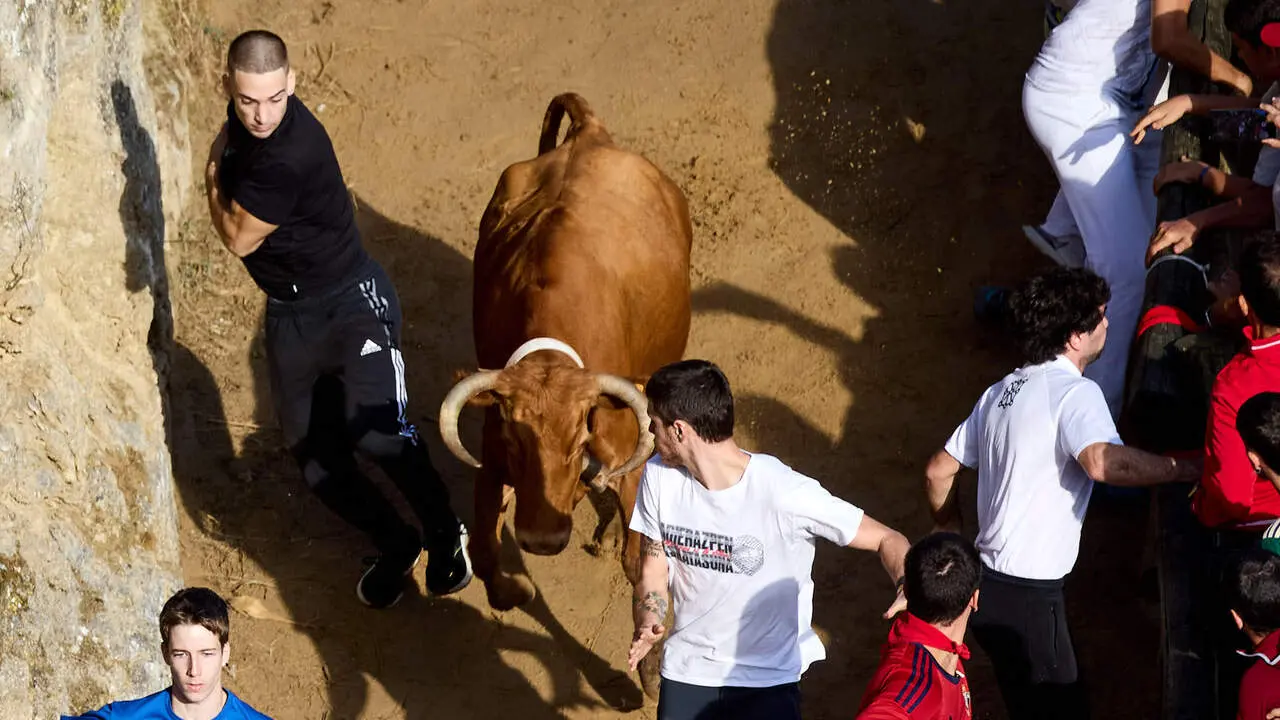 Sexto encierro del Pil&oacute;n de Falces 2026. I&Ntilde;IGO ALZUGARAY