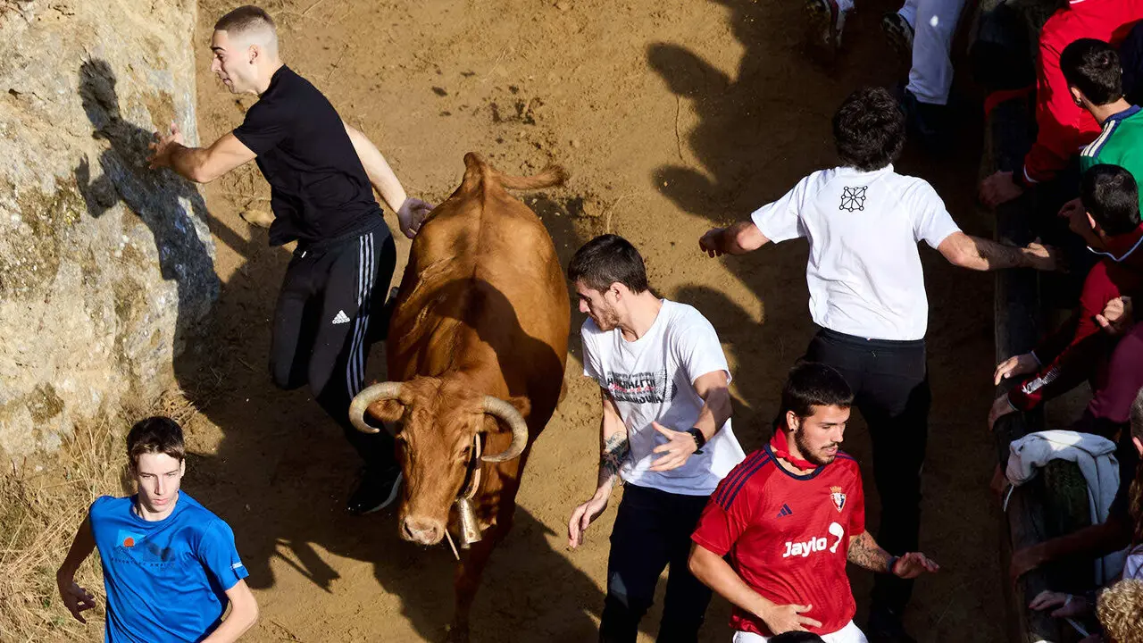 Sexto encierro del Pil&oacute;n de Falces 2026. I&Ntilde;IGO ALZUGARAY