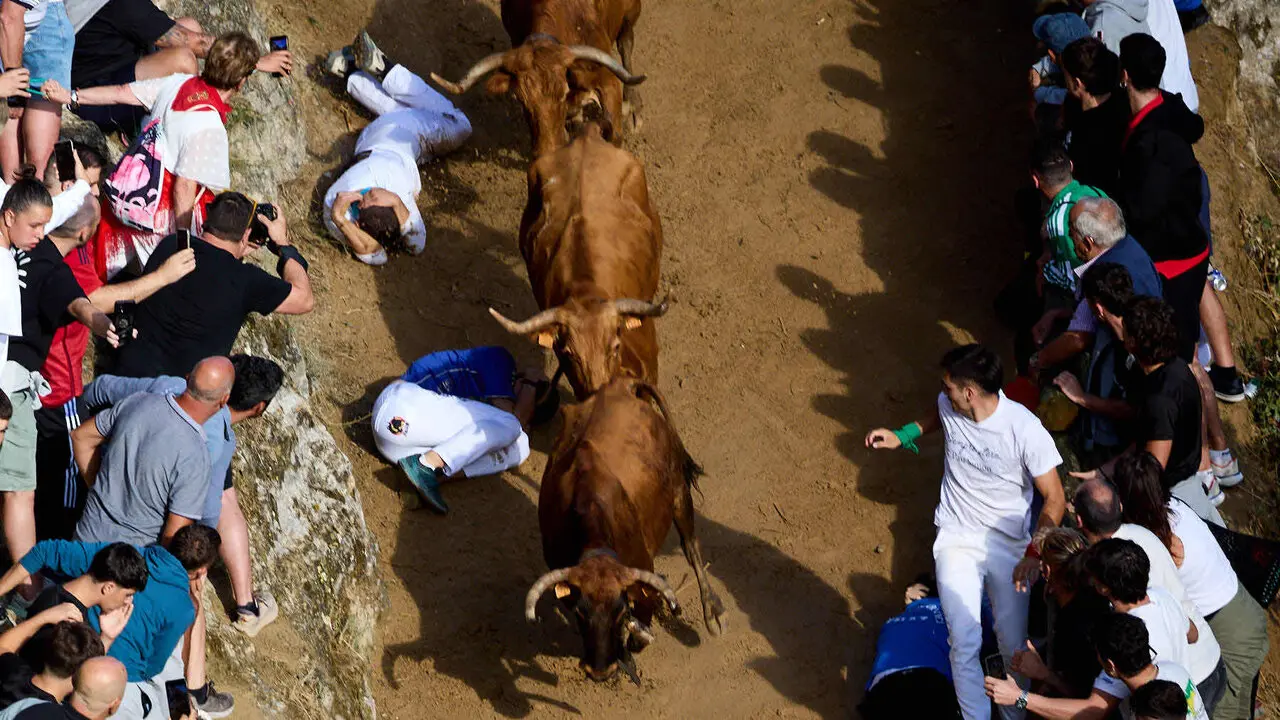 Sexto encierro del Pil&oacute;n de Falces 2026. I&Ntilde;IGO ALZUGARAY