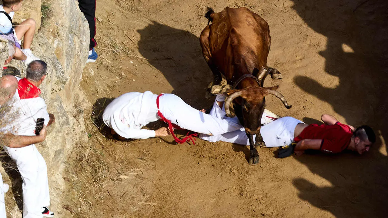 Sexto encierro del Pil&oacute;n de Falces 2026. I&Ntilde;IGO ALZUGARAY