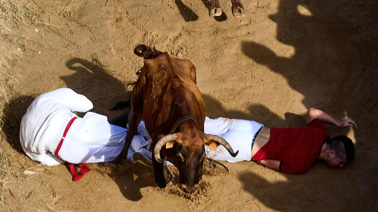 Sexto encierro del Pil&oacute;n de Falces 2026. I&Ntilde;IGO ALZUGARAY