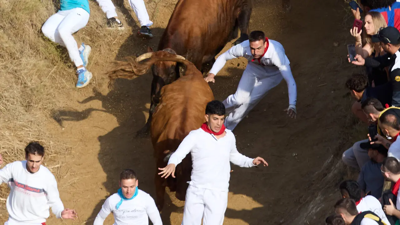 S&eacute;ptimo encierro del Pil&oacute;n de Falces 2026. I&Ntilde;IGO ALZUGARAY