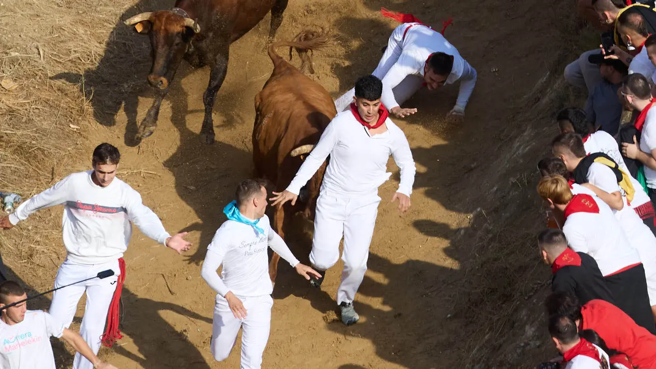 S&eacute;ptimo encierro del Pil&oacute;n de Falces 2026. I&Ntilde;IGO ALZUGARAY