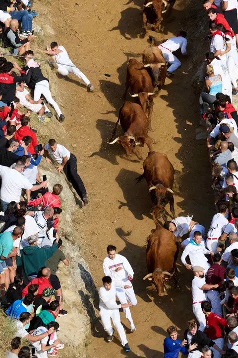S&eacute;ptimo encierro del Pil&oacute;n de Falces 2026. I&Ntilde;IGO ALZUGARAY