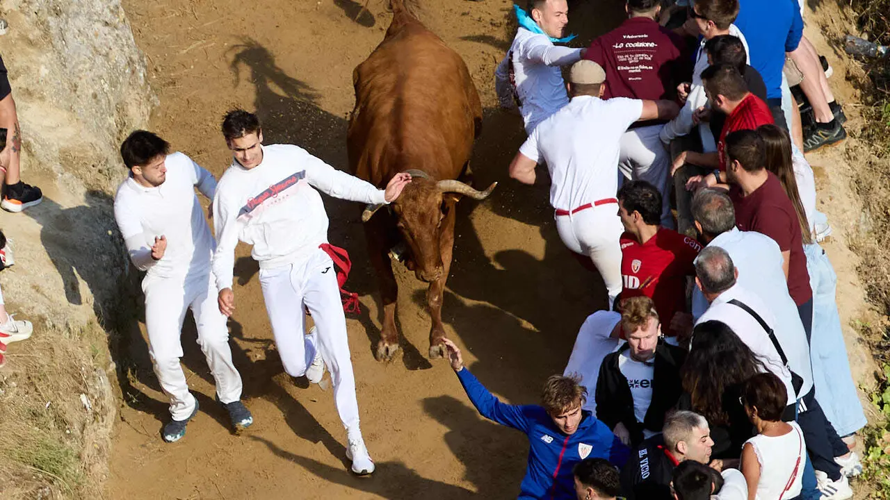 S&eacute;ptimo encierro del Pil&oacute;n de Falces 2026. I&Ntilde;IGO ALZUGARAY