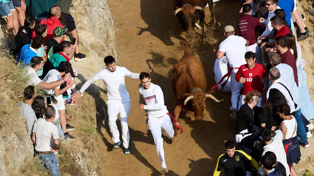 S&eacute;ptimo encierro del Pil&oacute;n de Falces 2026. I&Ntilde;IGO ALZUGARAY