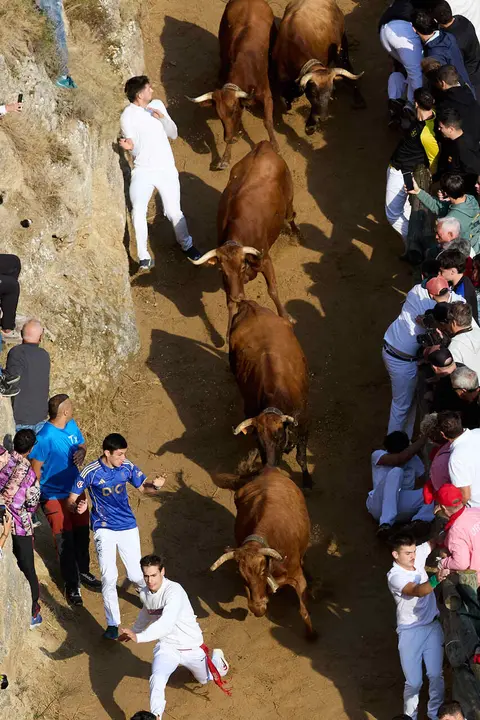 S&eacute;ptimo encierro del Pil&oacute;n de Falces 2026. I&Ntilde;IGO ALZUGARAY