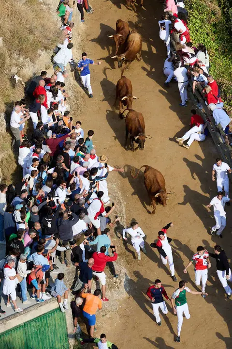 S&eacute;ptimo encierro del Pil&oacute;n de Falces 2026. I&Ntilde;IGO ALZUGARAY