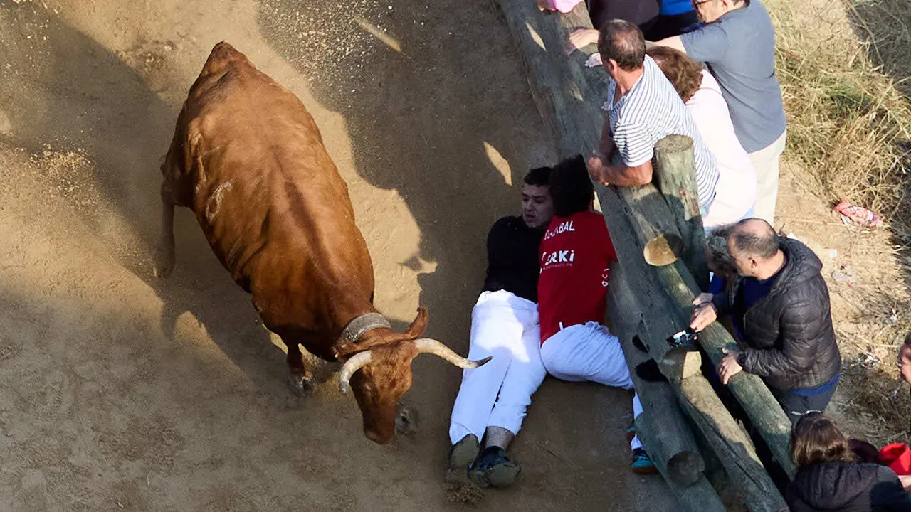 S&eacute;ptimo encierro del Pil&oacute;n de Falces 2026. I&Ntilde;IGO ALZUGARAY