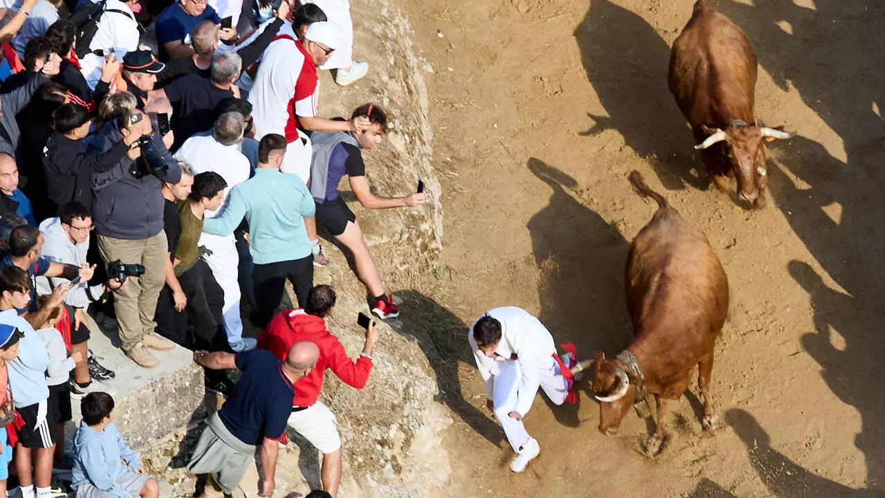 S&eacute;ptimo encierro del Pil&oacute;n de Falces 2026. I&Ntilde;IGO ALZUGARAY