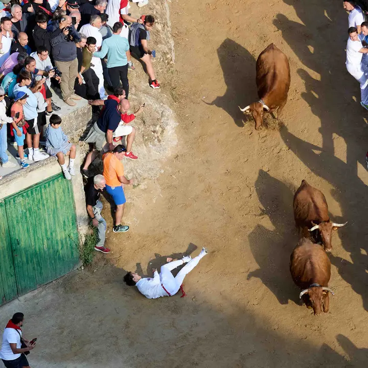 S&eacute;ptimo encierro del Pil&oacute;n de Falces 2026. I&Ntilde;IGO ALZUGARAY