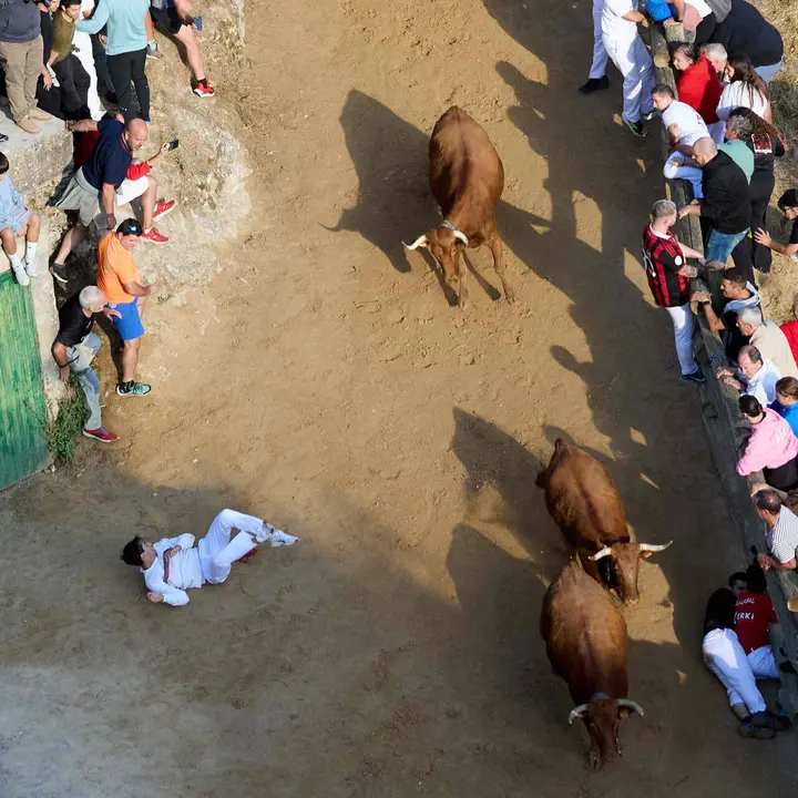 S&eacute;ptimo encierro del Pil&oacute;n de Falces 2026. I&Ntilde;IGO ALZUGARAY