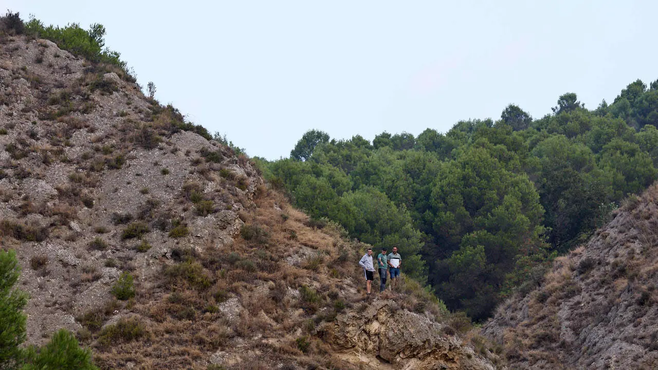 &Uacute;ltimo encierro del Pil&oacute;n de Falces 2026. I&Ntilde;IGO ALZUGARAY