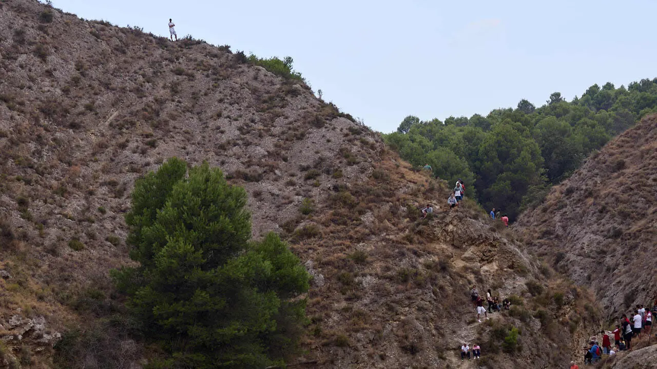 &Uacute;ltimo encierro del Pil&oacute;n de Falces 2026. I&Ntilde;IGO ALZUGARAY
