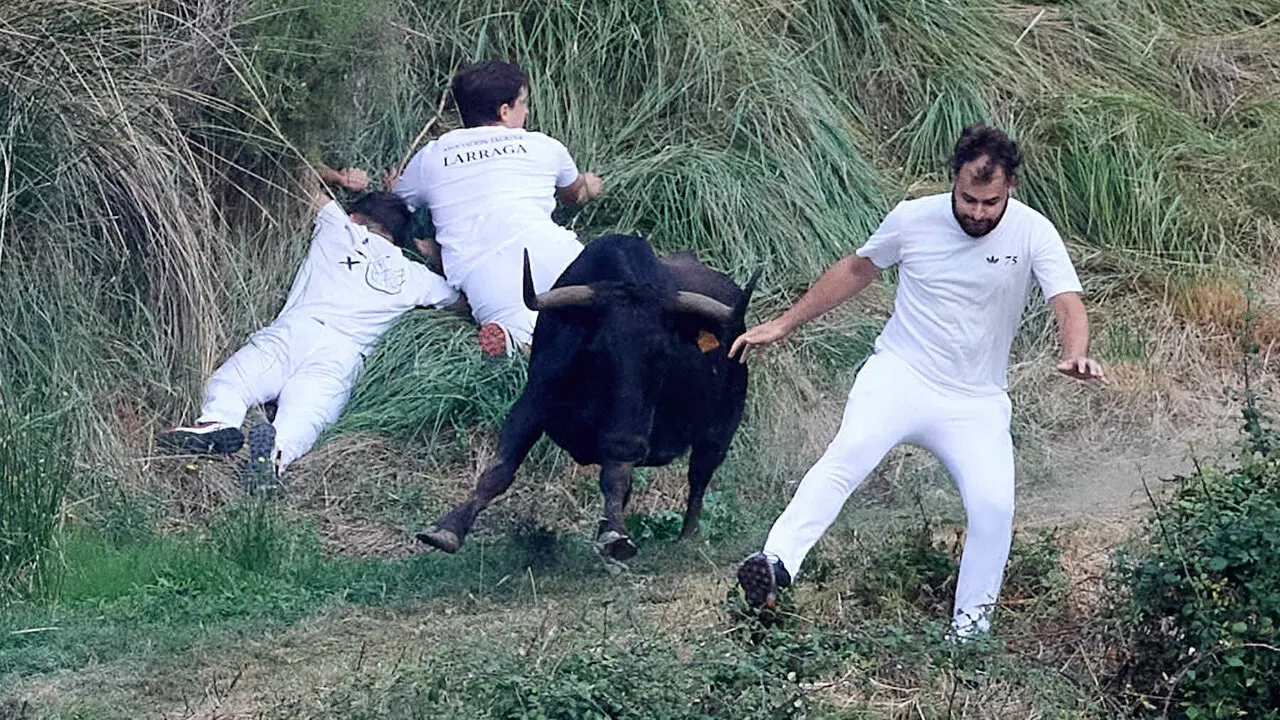 &Uacute;ltimo encierro del Pil&oacute;n de Falces 2026. I&Ntilde;IGO ALZUGARAY