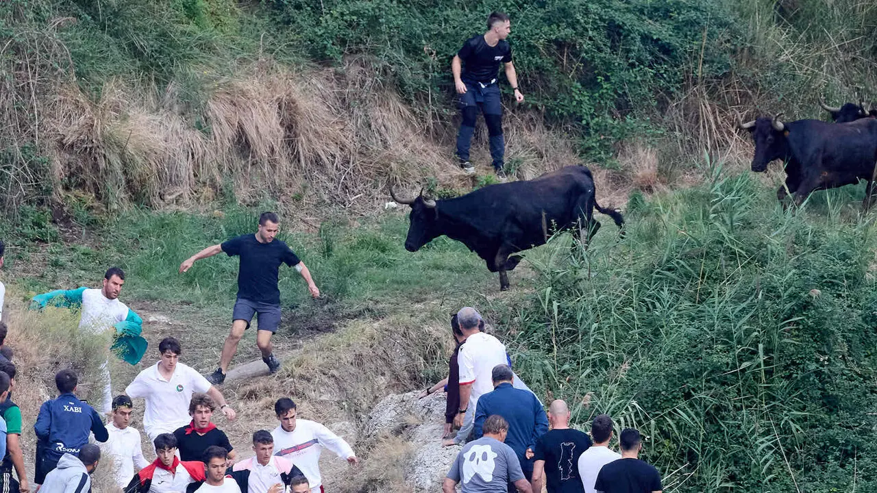 &Uacute;ltimo encierro del Pil&oacute;n de Falces 2026. I&Ntilde;IGO ALZUGARAY