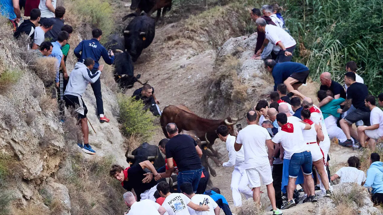 &Uacute;ltimo encierro del Pil&oacute;n de Falces 2026. I&Ntilde;IGO ALZUGARAY