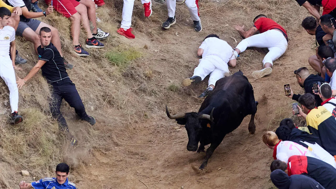 &Uacute;ltimo encierro del Pil&oacute;n de Falces 2026. I&Ntilde;IGO ALZUGARAY