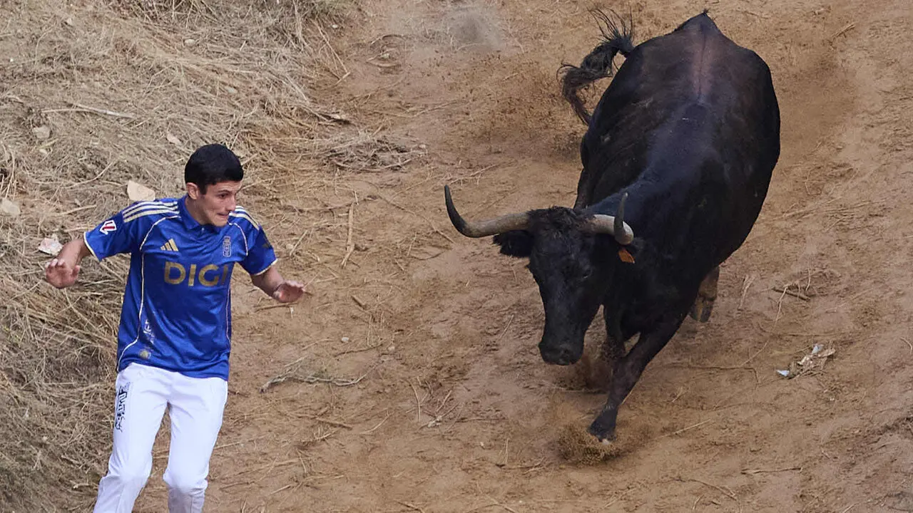 &Uacute;ltimo encierro del Pil&oacute;n de Falces 2026. I&Ntilde;IGO ALZUGARAY