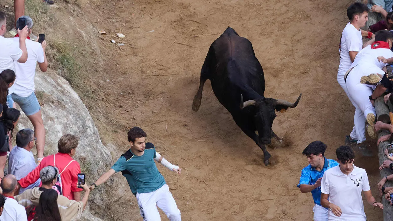 &Uacute;ltimo encierro del Pil&oacute;n de Falces 2026. I&Ntilde;IGO ALZUGARAY