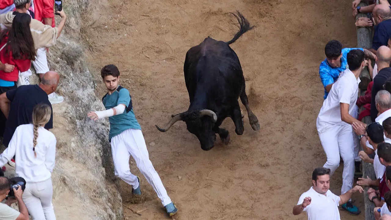 &Uacute;ltimo encierro del Pil&oacute;n de Falces 2026. I&Ntilde;IGO ALZUGARAY