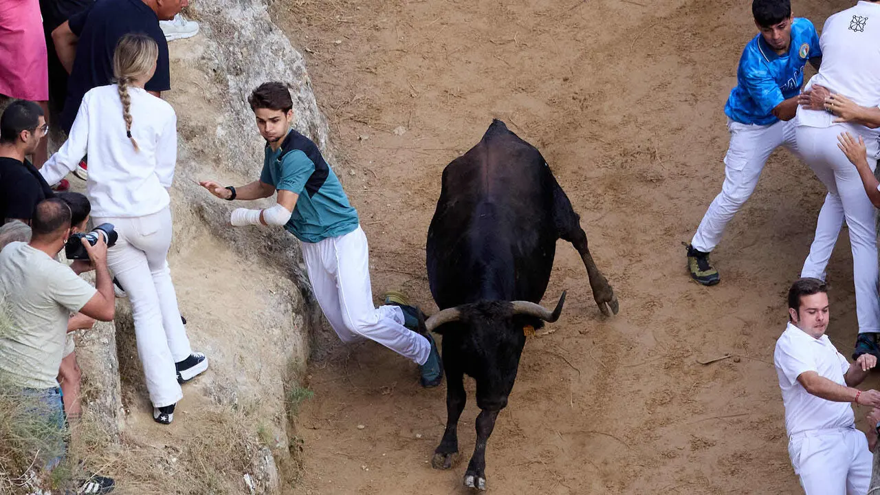 &Uacute;ltimo encierro del Pil&oacute;n de Falces 2026. I&Ntilde;IGO ALZUGARAY