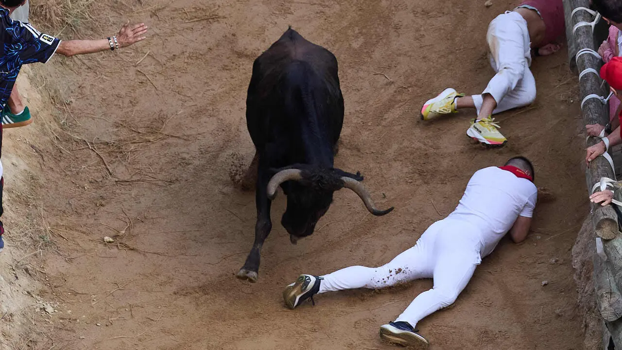 &Uacute;ltimo encierro del Pil&oacute;n de Falces 2026. I&Ntilde;IGO ALZUGARAY